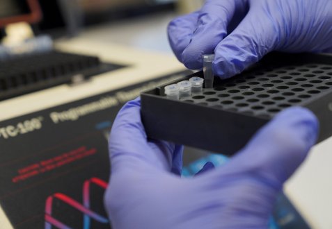 inovation-analisis-avancades